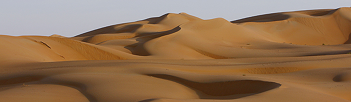 Dawn sunlight hits the dunes of the of Al Batin near Liwa in the United Arab Emirates. REUTERS/Steve Crisp.