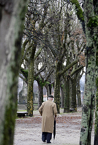 An elderly man walks amongst trees in Pontevedra in northwest Spain, January 12, 2011. REUTERS/Miguel Vidal.