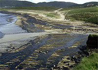 A view of an oiled beach after the Prestige oil spill.