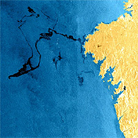 Satellite picture of the Prestige oil spill - 2002 (ESA).
