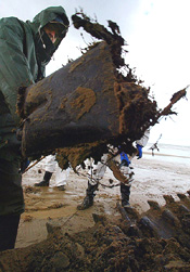 Workers clean up fuel oil stained along the Berria beach in the province of Santander in northern Spain February 5, 2003. 'Crown Resources', the metals and energy trader, is suing the owners of the Bahamanian-flagged Prestige tanker which sank off the coast of Spain in November. The Swiss-based company had chartered the Prestige to carry 77,000 tonnes of fuel oil which is now spilling on to French and Spanish beaches. REUTERS/Victor Fraile.