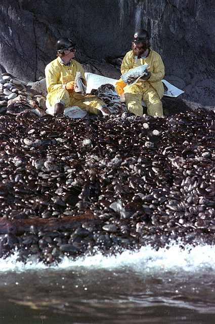 A crew begins the long task of cleaning up the oil spilled by the Exxon Valdez from the beaches on Naked Island by scrubbing each rock. REUTERS/Mike Blake.