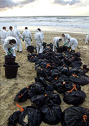 Workers shovel fuel oil on Cap Ferret beach, southwestern France, January 4, 2003. Thousands of birds, fish and other wildlife have been affected after the Prestige tanker laden with 70,000 tonnes of fuel oil split in two and sank, triggering what ecologists said could become one of the world's worst oil spills. REUTERS/Regis Duvignau.