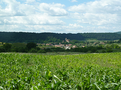 An agricultural landscape in Central Romania. Low-intensity land use and high landscape heterogeneity have maintained high biodiversity in this landscape for centuries (photo credit: Kimberlie Rawlings.
