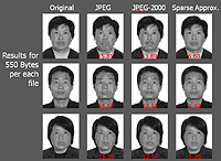 An illustration of the performance obtained using this model for compression of face images - Work done by Ori Bryt and Michael Elad. The results obtained with the JPEG and JPEG-2000 algorithms are compared to the ones obtained using trained dictionaries and sparse approximation. The numbers appearing on each picture are the (per pixel root-mean-squared-) compression-decompression errors.