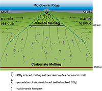Cartoon showing the framework of melting and mantle flow beneath 
       mid-ocean ridges, the regions of most voluminous volcanism on Earth. The
        figure shows the finding from the study of Nature 440[7084]: 659-62, 30
        (March 2006) paper, which demonstrated that under the influence of 
       trace carbon dioxide the onset of partial melting occurs as deep as 300 
       km, a depth far deeper than the major melting of silicate rocks at 
       ~60-70 km.