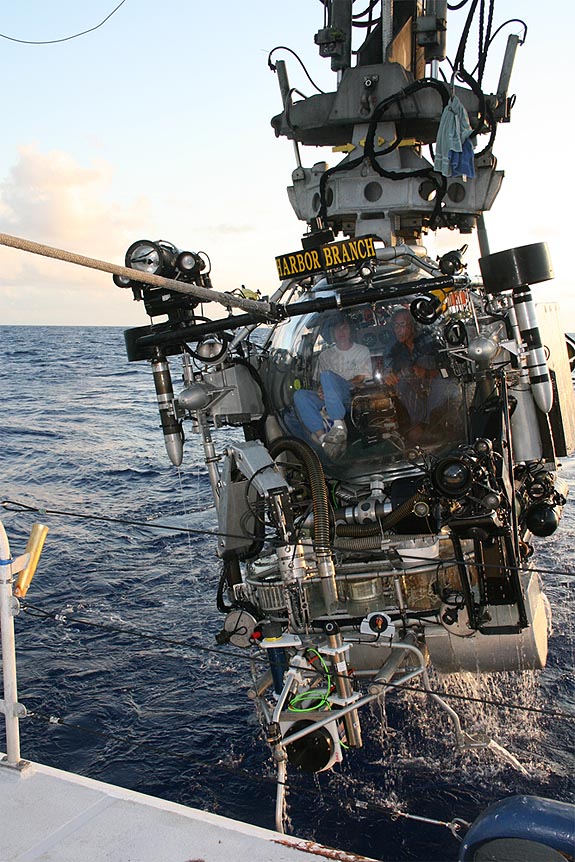 The Johnson-Sea-Link submersible bringing the microlander back to the surface. Image courtesy of Liz Baird.