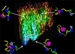 The image shows how simulations can study the folding of small proteins and gain insight into the underlying landscape (colored by energy) that controls folding, giving insight into how mutations can cause misfolding and result in diseases such as Alzheimer’s. Various structures are drawn near the bumps in the landscape as the flexible protein follows the path to adopting the functional native structure.