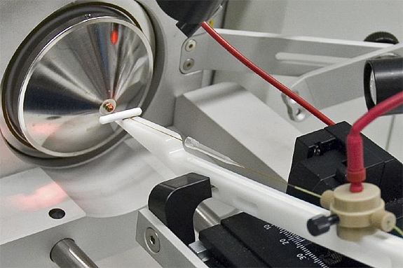 A close-up of an electrospray ionization source used to analyze peptides in proteomics experiments.