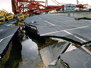 Global supply chains were affected by infrastructure and production breakdowns subsequent to the Japan earthquake.