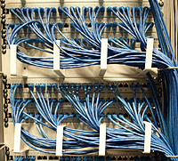 LAN cables are pictured on the Internet server at the Swiss Federal Institute of Technology (EPFL) in Ecublens, near Lausanne May 9, 2011. REUTERS/Denis Balibouse.