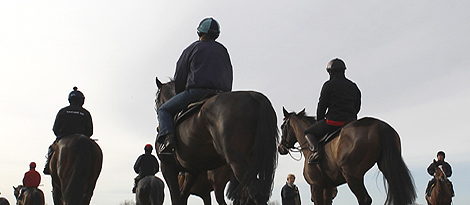 Horses are taken on an early morning ride on the gallops before the Cheltenham Festival horse racing meet in Gloucestershire, western England March 2010. REUTERS/Eddie Keogh.