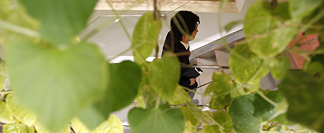 An employee is seen through leaves of calabash grown inside an office of Pasona Group, an employment and staffing company, during a photo opportunity in Tokyo October 20, 2010. Vegetables, fruits and rice are grown and harvested by the employees at the company's "urban farm", aimed at creating a working environment coexisting with nature, according to the company. Negotiators from over 190 countries are gathered in Nagoya, Japan for a United Nations meeting to discuss ways to fight rising extinctions of plants and animals from pollution, climate change and habitat loss. REUTERS/Yuriko Nakao.